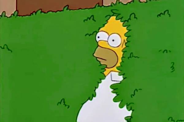 Homer Simpson bush meme