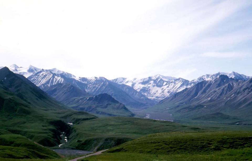 Alaska Denali park lowlands hills river