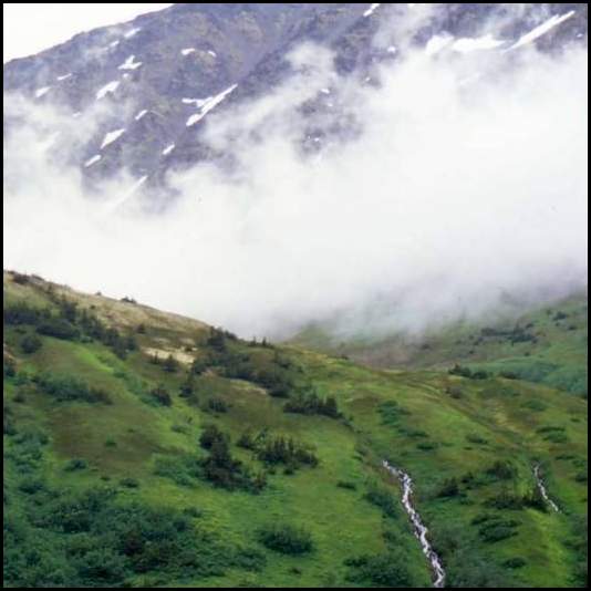 thumbnail Alaska Kenai mountain stream