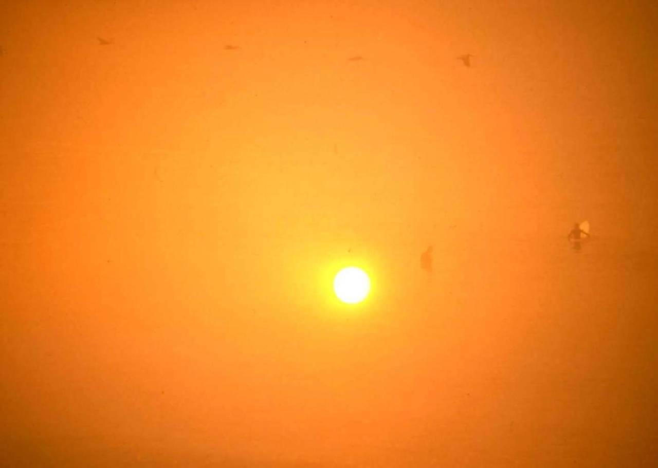 San Diego Cedar Fire 2003 surfers sun discoloration double exposure