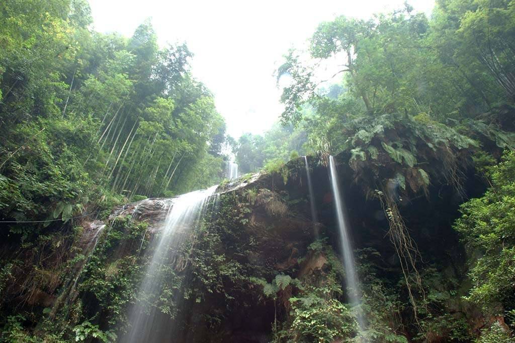 China bamboo forest waterfall long exposure