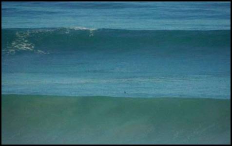 Del Mar surf overhead waves surfer lineup