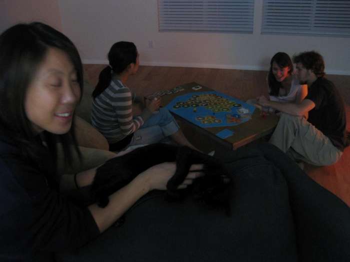 Settlers of Catan cat coffee table