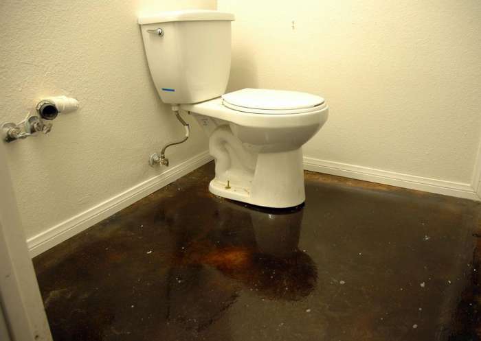 Renovation small bathroom toilet polished concrete floor