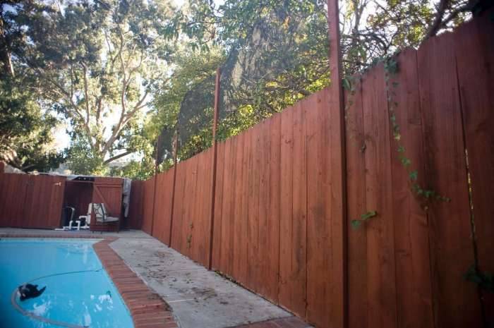 Fence pool leaves