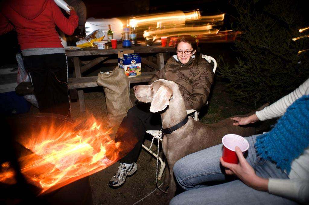 Camping night photography slow shutter fire dog