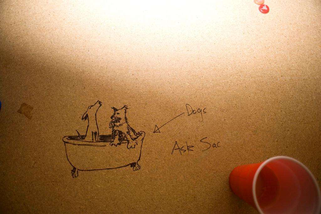 Cartoon dogs in a bathtub