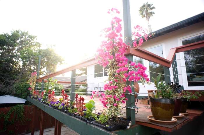 Deck renovation flower planter boxes vines