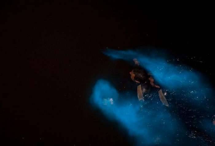 Bioluminescence blue glow Scripps Pier swimming long exposure