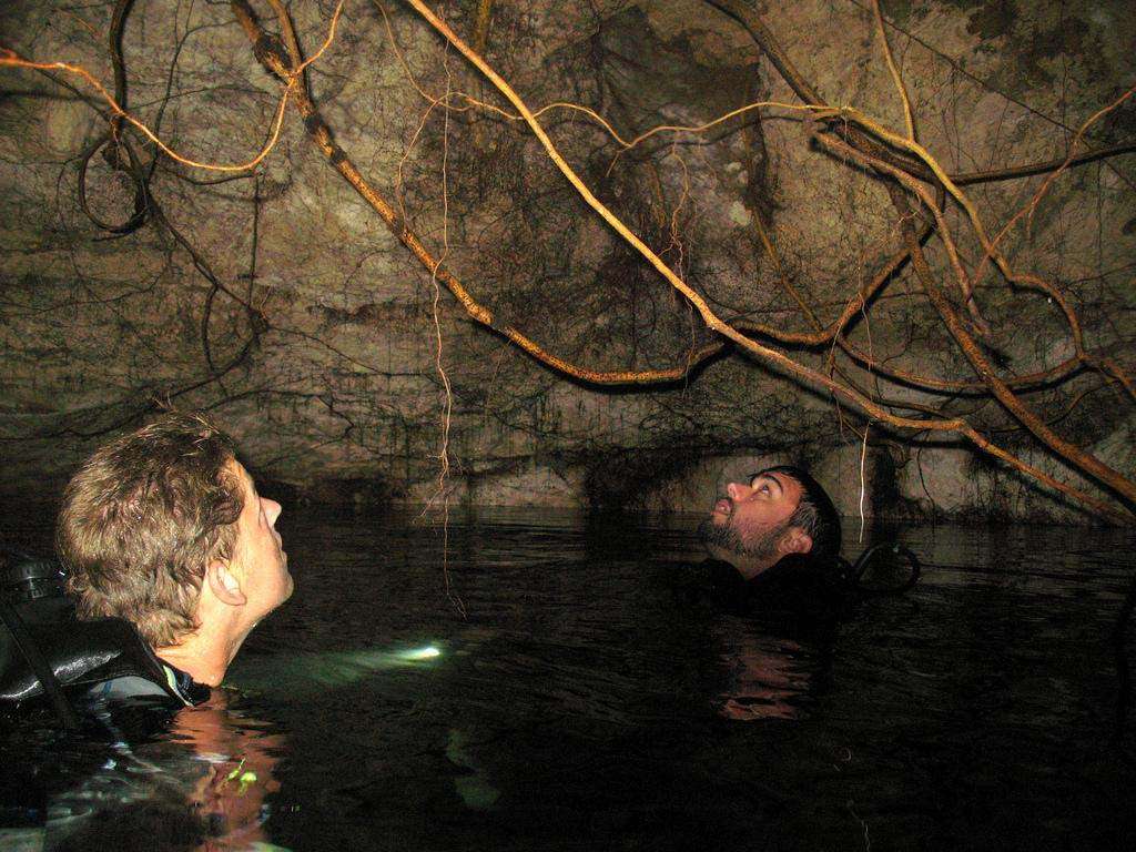 Cenote dive Cancun Mexico roots underwater cavern