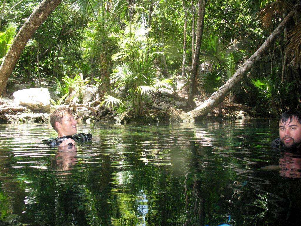 Cenote dive Cancun Mexico surface jungle