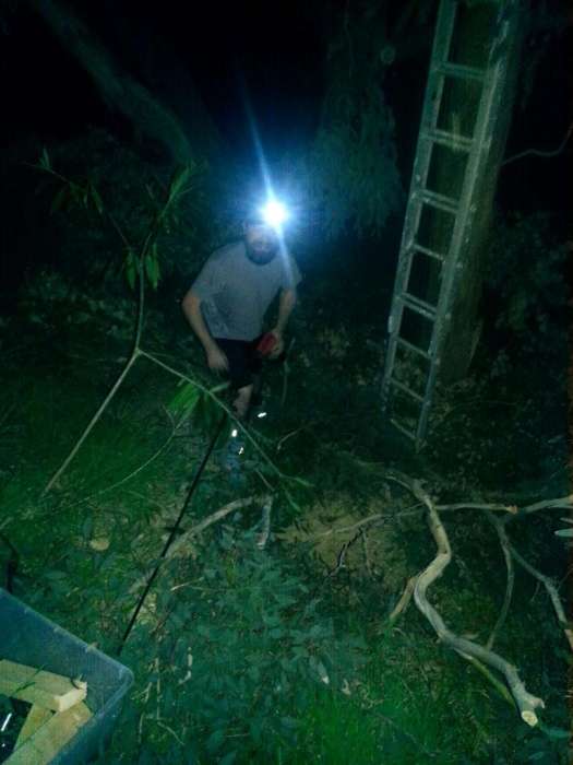Yard work night headlamp ladder cutting branches poor cord etiquette