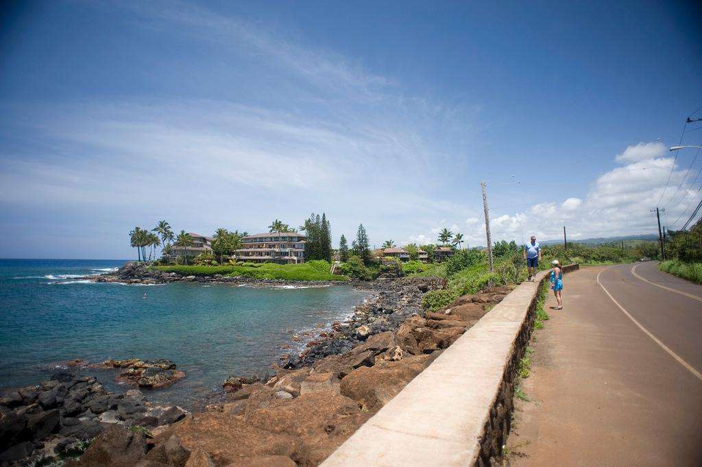 Hawaii Kauai highway shore