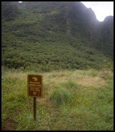 Hawaii Kauai Kalalau trail Napali coast helicopter landing zone