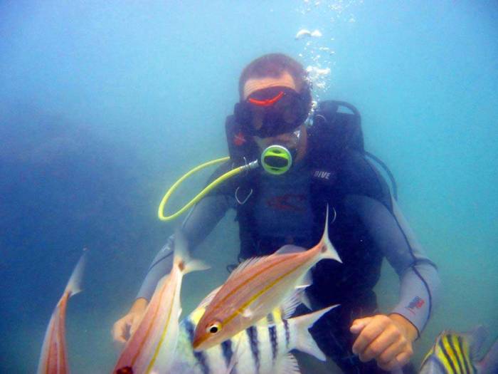 Maracajau dive fish scuba Brazil