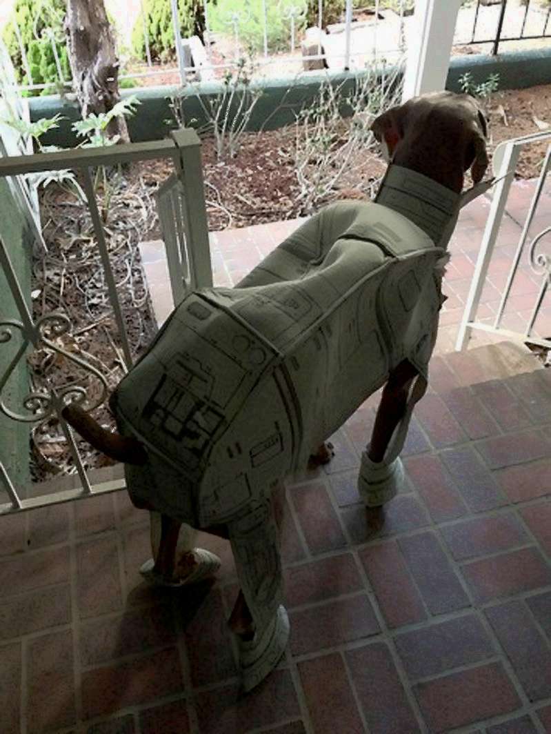 Weimaraner dog costume Star Wars AT AT walker