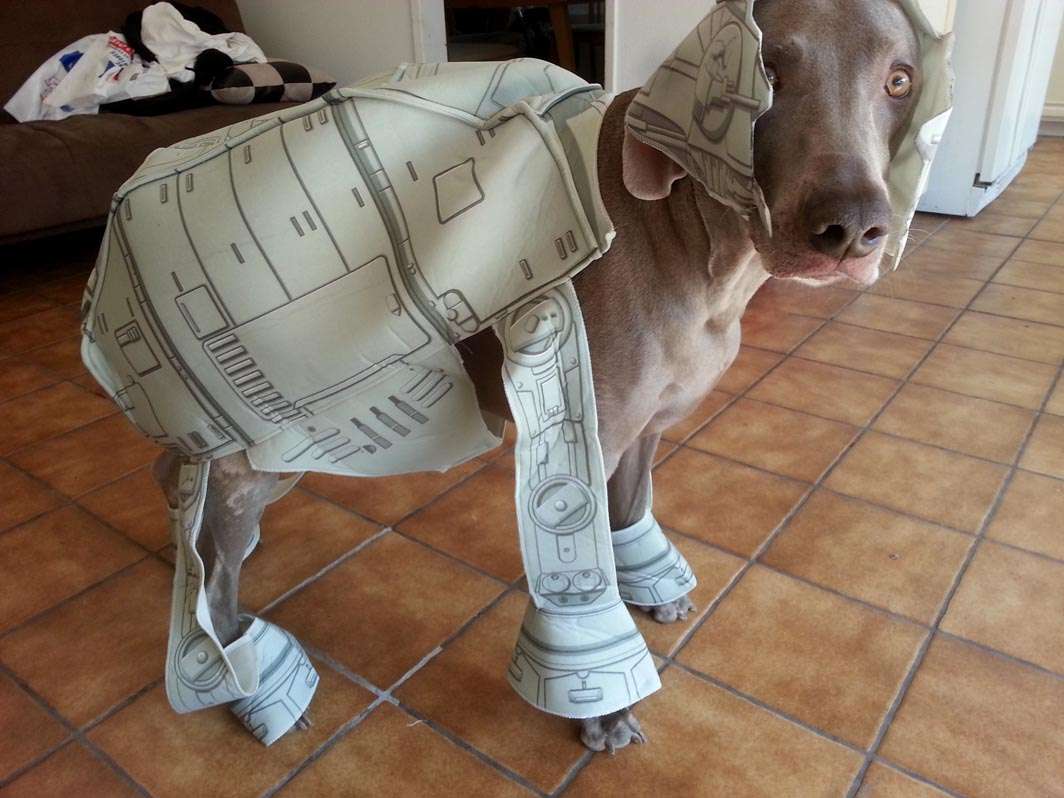 Dog weimaraner Halloween Star Wars AT-AT costume