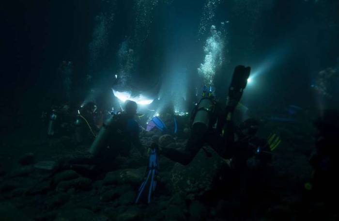 Hawaii Big Island scuba manta dive night underwater photography