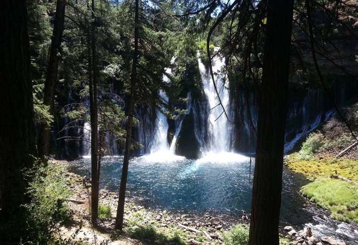 Burney Falls California waterfall trees