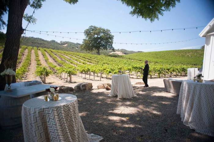 Vineyard winery wedding tables officiant Paso Robles