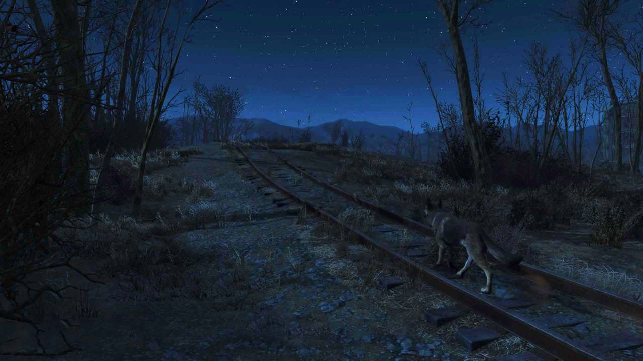 Fallout 4 dog train tracks night