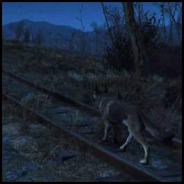 thumbnail Fallout 4 dog train tracks night