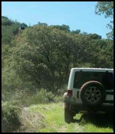 Jeep offroading