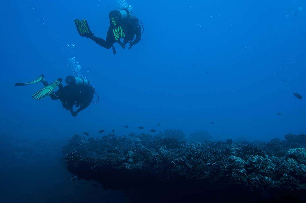 Hawaii Kauai scuba dive divers reef