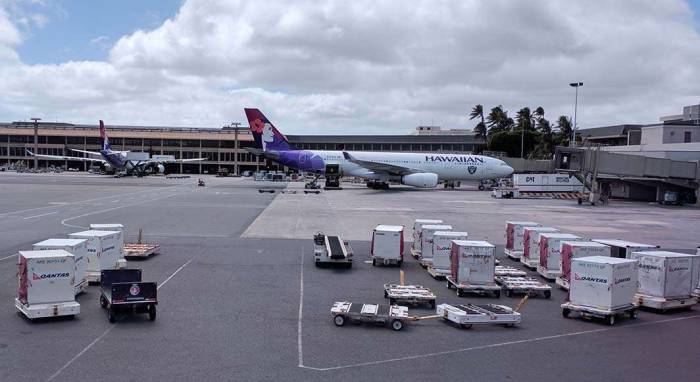 Hawaiian Airlines Oakland Raiders plane