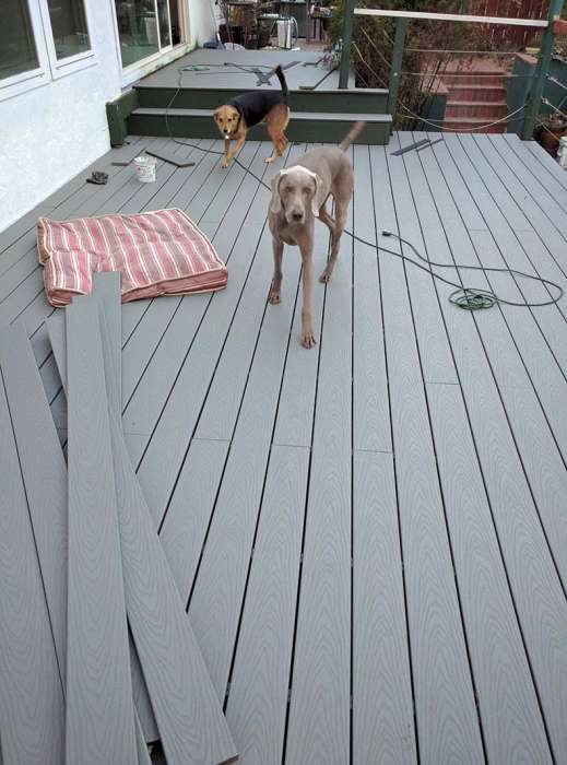 Deck plank installation gray Trex retrofit dogs approve