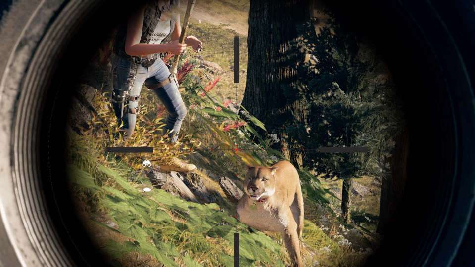 Far Cry 5 sniper scope cougar