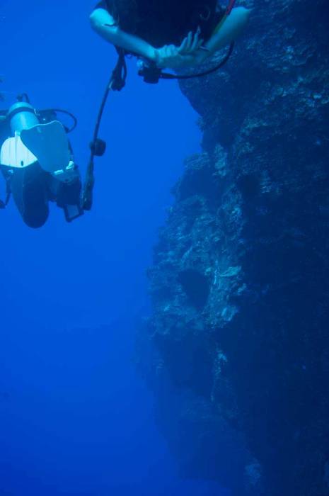 Hawaii Maui scuba dive underwater photography Molokini drift dive