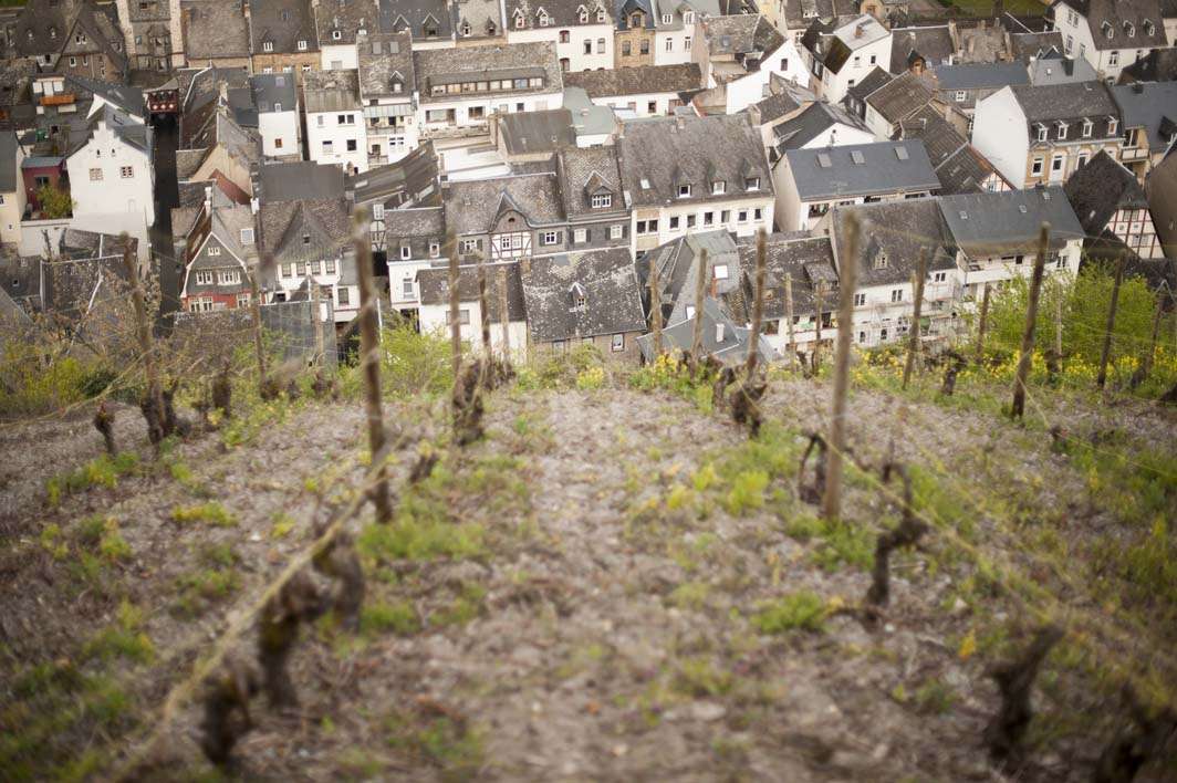 Bacharach Germany riesling vineyard hillside steep