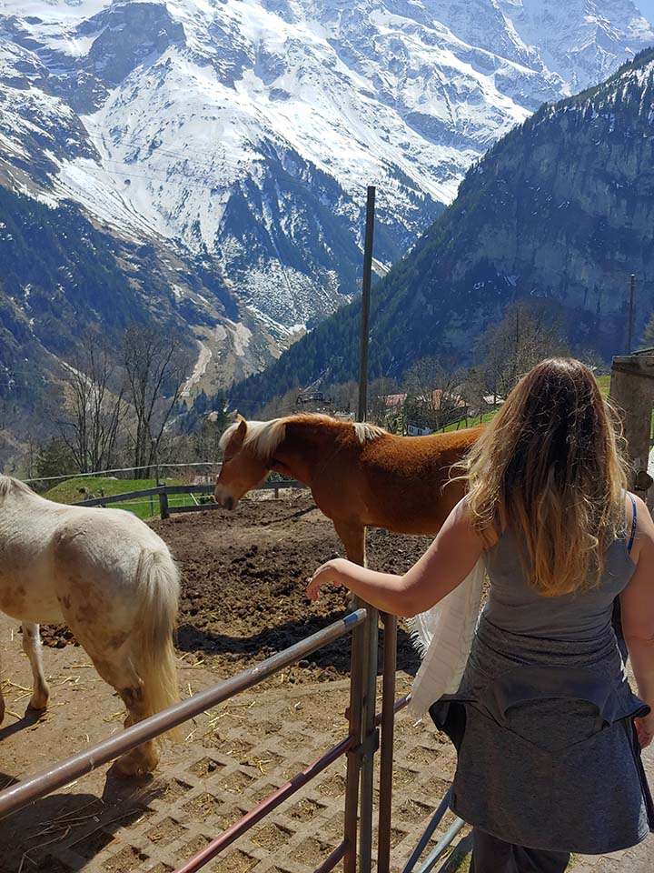 Switzerland travel alps Gimmelwald horses view