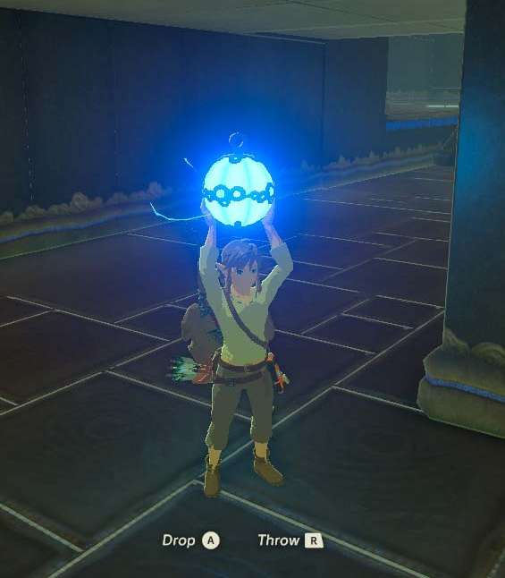 Zelda Breath of the Wild Link bomb