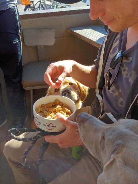 Beer exploration dogs treats