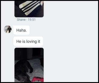 Google hangouts chats dog pictures