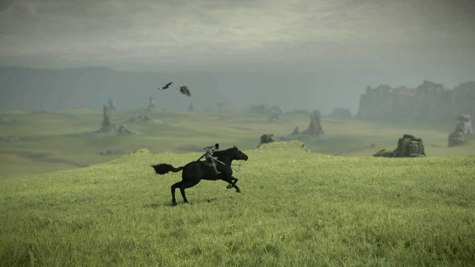 Shadow of the Colossus remaster riding eagles fields
