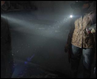 The Last of Us 2 Ellie Dina molotov