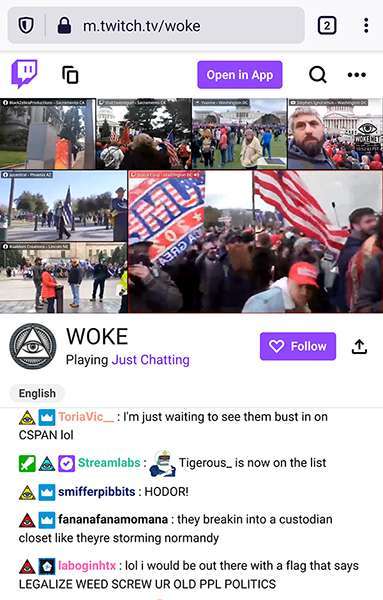Capitol insurrection woke Twitch channel