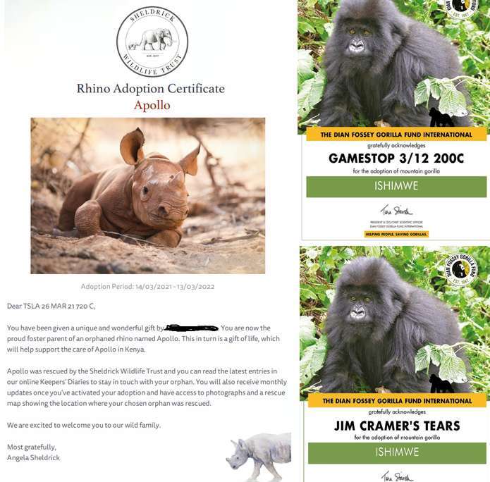 Reddit WallStreetBets Gamestop GME donations Fossey gorilla