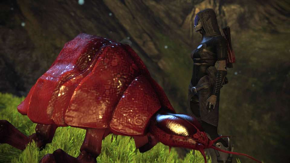 Mass Effect Legendary wildlife Tali giant bug