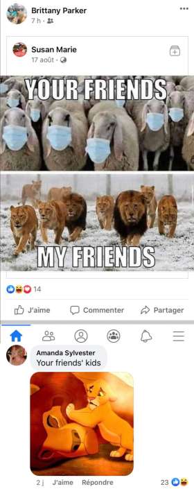 Facebook meme Lion King covid sheep lions