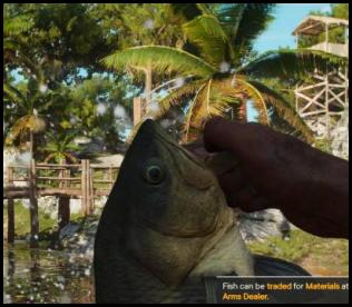 Far Cry 6 fishing caught fish