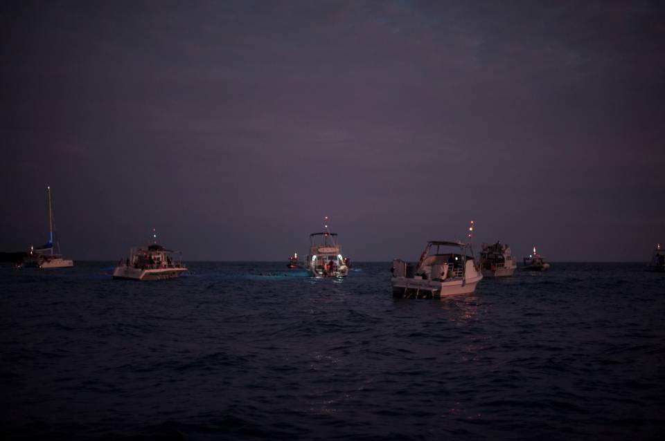 Hawaii manta night dive evening boats snorkelers
