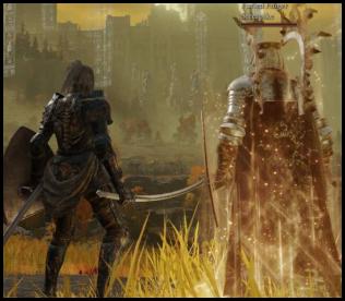 Elden Ring co-op ally summon field golden seed