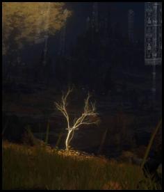 Elden Ring moon banners night golden seed