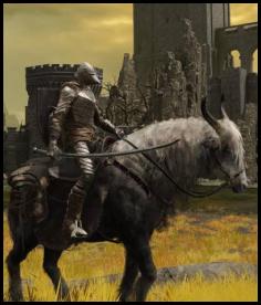Elden Ring shaded castle swamp acid