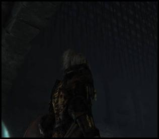 Elden Ring co-op dungeon spike trap ceiling