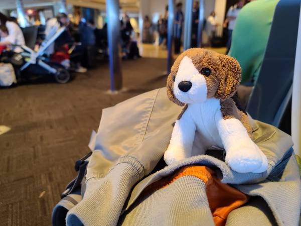 Dog stuffy Douglas airport
